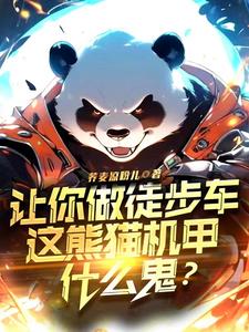 熊猫机甲动画片