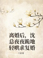 小说离婚后前夫总求我复合沈宴