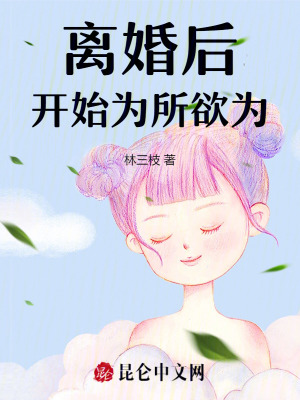 从离婚后开始的小说